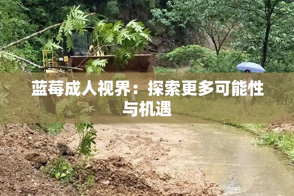 蓝莓成人视界：探索更多可能性与机遇