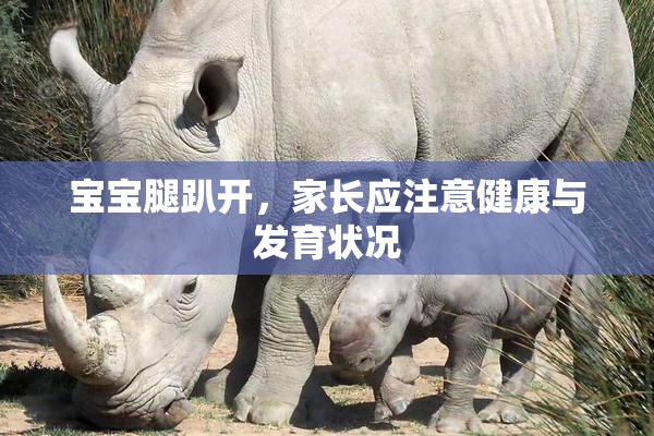 宝宝腿趴开，家长应注意健康与发育状况