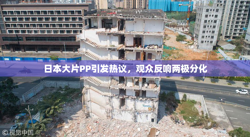 日本大片PP引发热议，观众反响两极分化