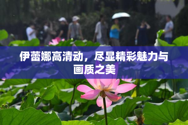 伊蕾娜高清动，尽显精彩魅力与画质之美