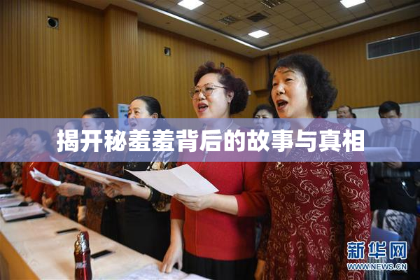揭开秘羞羞背后的故事与真相