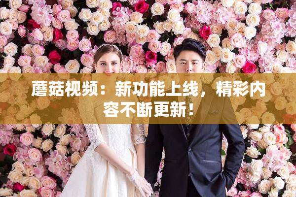 蘑菇视频：新功能上线，精彩内容不断更新！