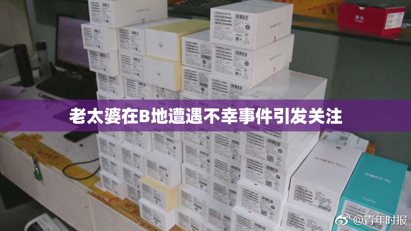 老太婆在B地遭遇不幸事件引发关注