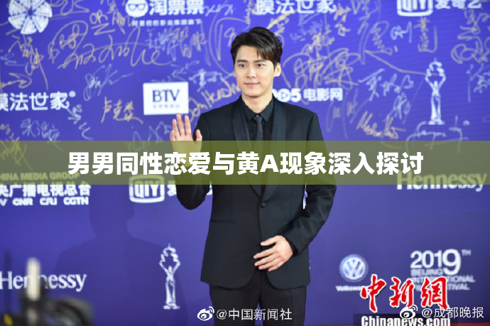 男男同性恋爱与黄A现象深入探讨