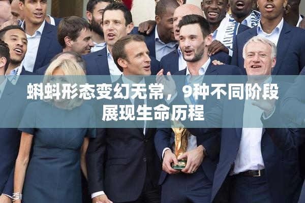 蝌蚪形态变幻无常，9种不同阶段展现生命历程