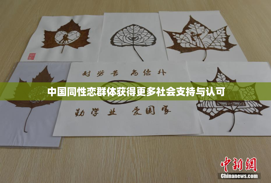 中国同性恋群体获得更多社会支持与认可