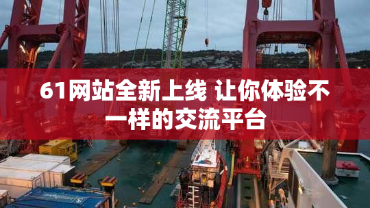 61网站全新上线 让你体验不一样的交流平台