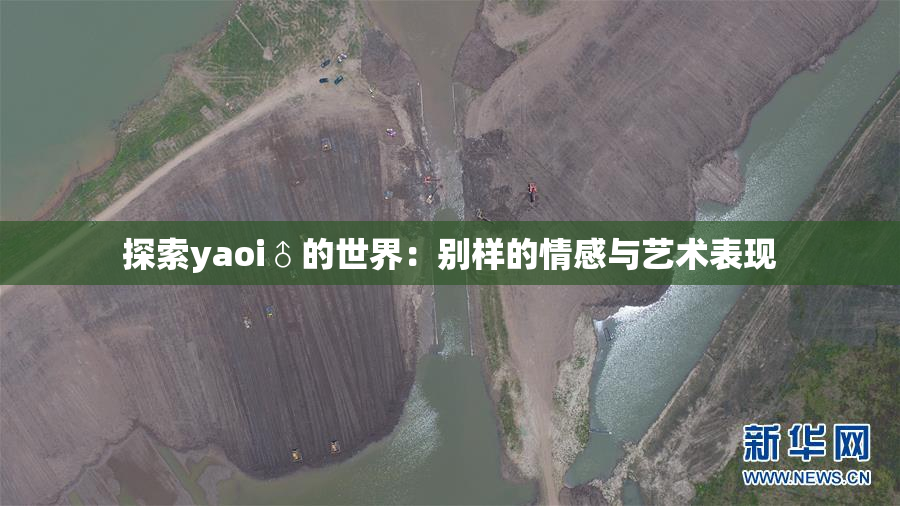 探索yaoi♂的世界：别样的情感与艺术表现