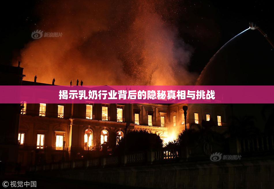 揭示乳奶行业背后的隐秘真相与挑战