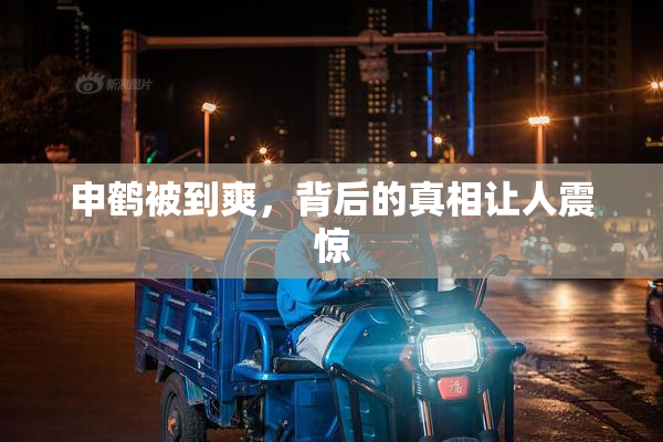 申鹤被到爽，背后的真相让人震惊