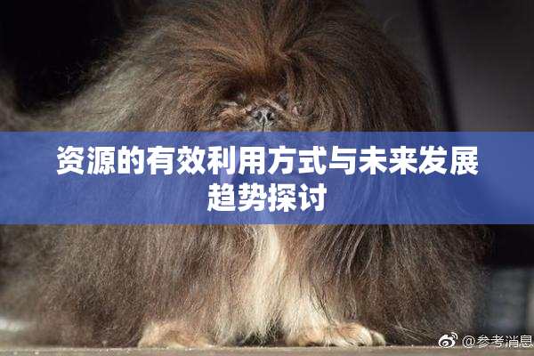 资源的有效利用方式与未来发展趋势探讨