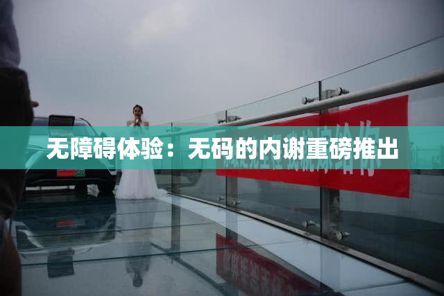 无障碍体验：无码的内谢重磅推出