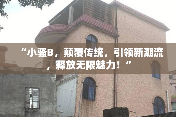 “小骚B，颠覆传统，引领新潮流，释放无限魅力！”