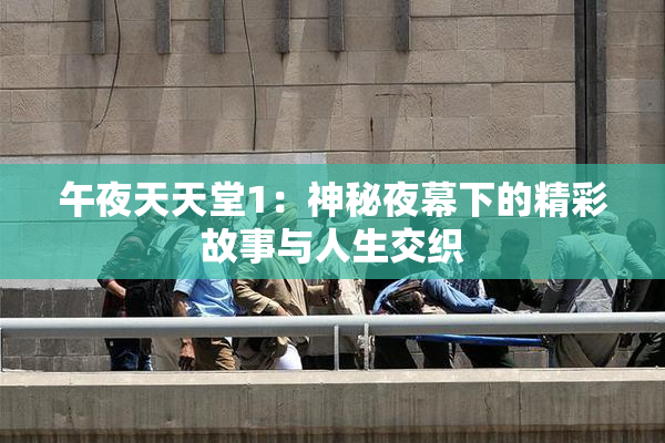 午夜天天堂1：神秘夜幕下的精彩故事与人生交织