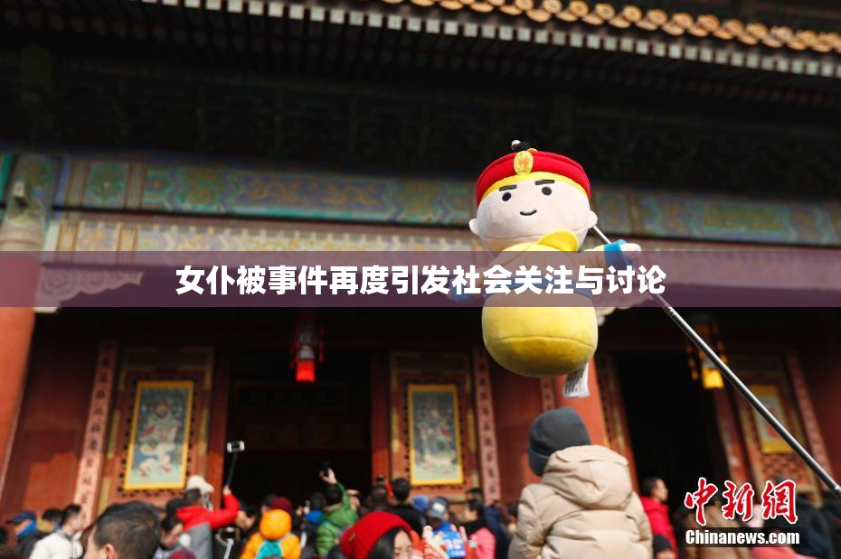 女仆被事件再度引发社会关注与讨论