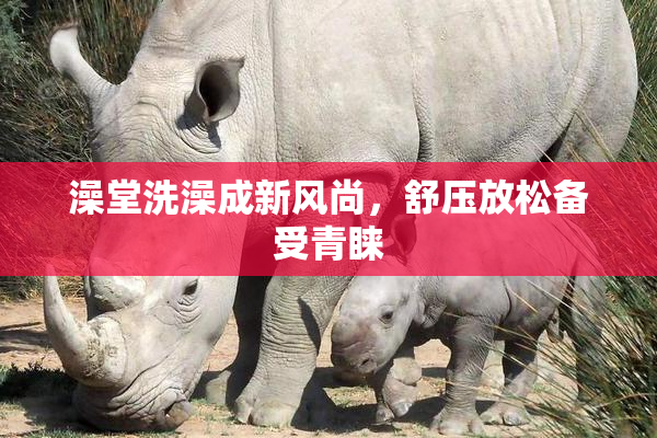 澡堂洗澡成新风尚，舒压放松备受青睐