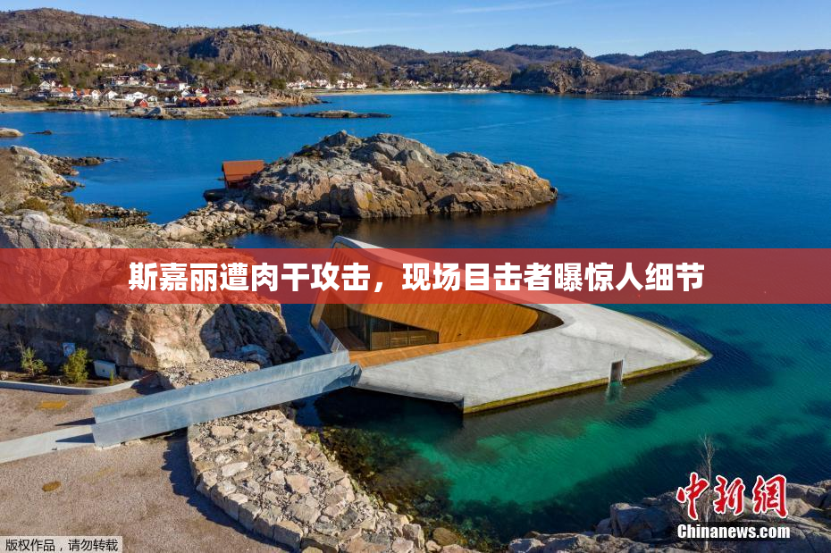 斯嘉丽遭肉干攻击，现场目击者曝惊人细节