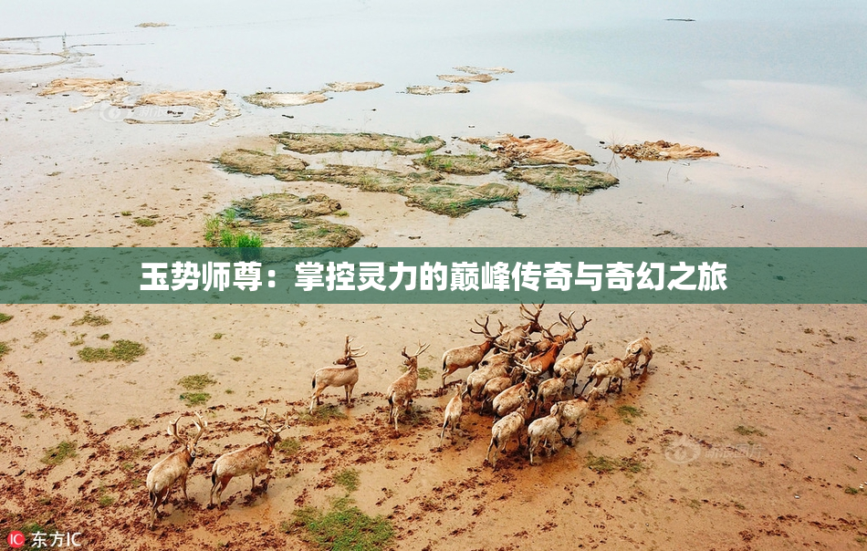 玉势师尊：掌控灵力的巅峰传奇与奇幻之旅