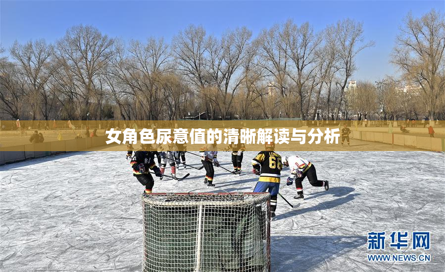 女角色尿意值的清晰解读与分析