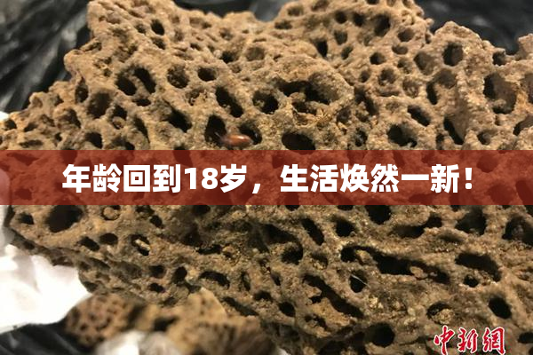 年龄回到18岁，生活焕然一新！