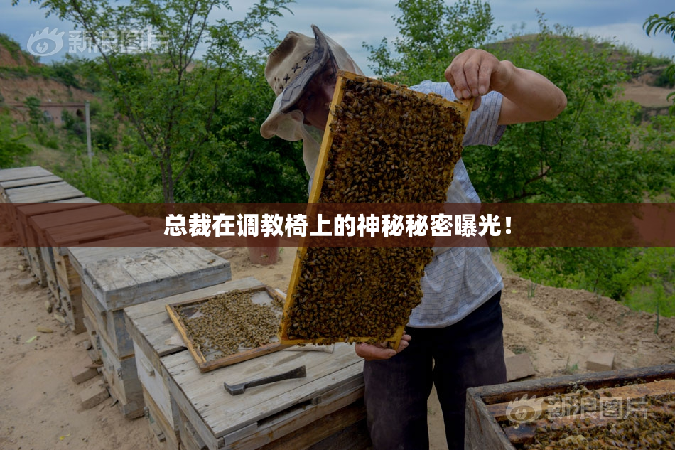 总裁在调教椅上的神秘秘密曝光！