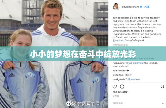 小小的梦想在奋斗中绽放光彩