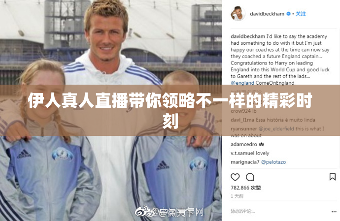 伊人真人直播带你领略不一样的精彩时刻
