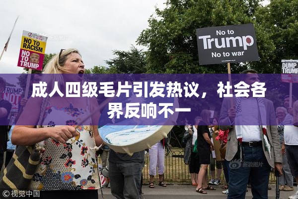 成人四级毛片引发热议，社会各界反响不一