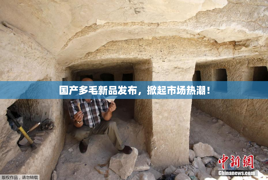 国产多毛新品发布，掀起市场热潮！