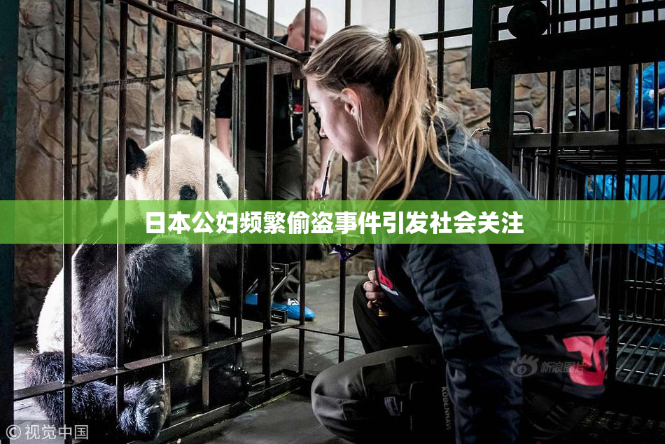 日本公妇频繁偷盗事件引发社会关注