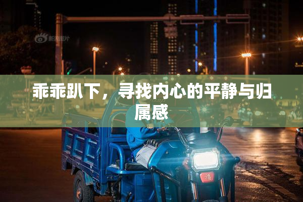 乖乖趴下，寻找内心的平静与归属感