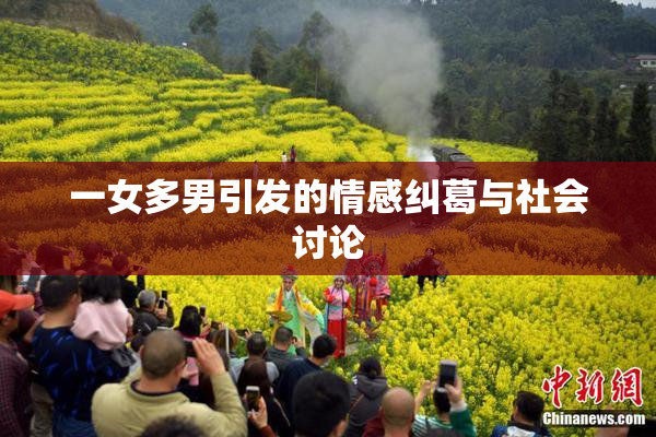 一女多男引发的情感纠葛与社会讨论