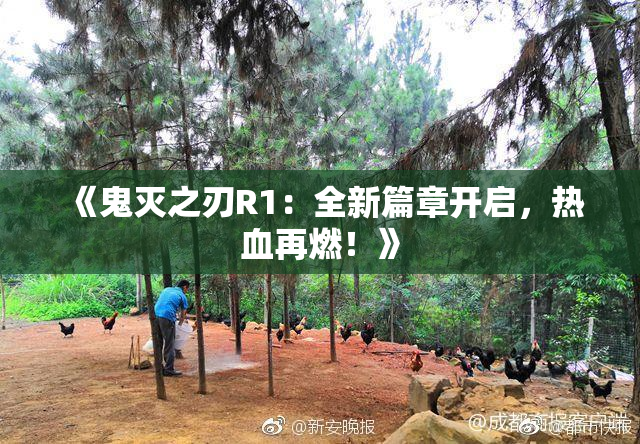 《鬼灭之刃R1：全新篇章开启，热血再燃！》