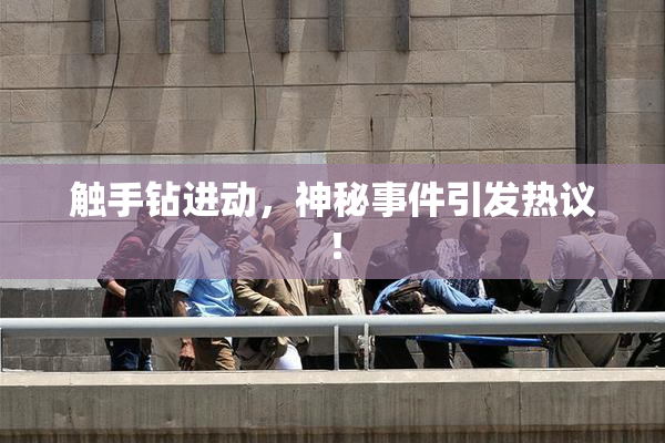 触手钻进动，神秘事件引发热议！