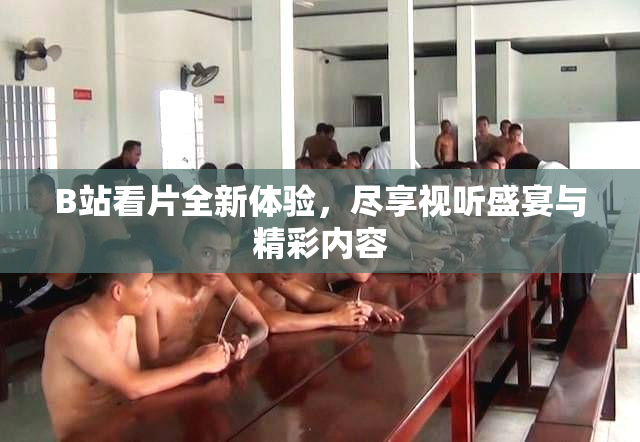 B站看片全新体验，尽享视听盛宴与精彩内容