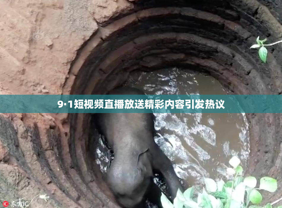 9·1短视频直播放送精彩内容引发热议