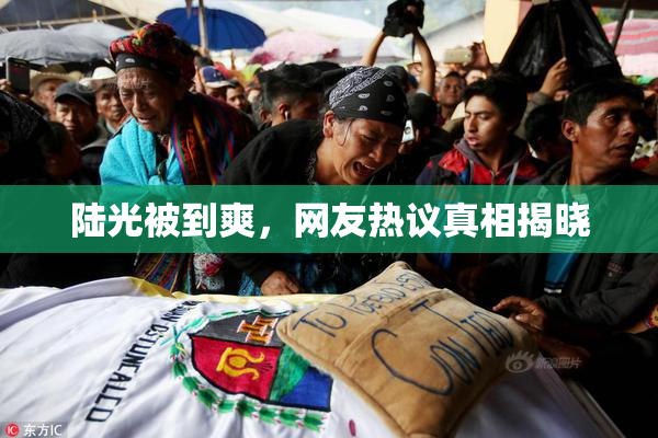 陆光被到爽，网友热议真相揭晓