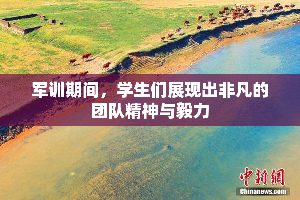 军训期间，学生们展现出非凡的团队精神与毅力