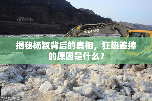 揭秘杨颖背后的真相，狂热追捧的原因是什么？