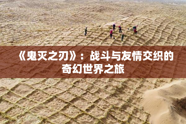 《鬼灭之刃》：战斗与友情交织的奇幻世界之旅
