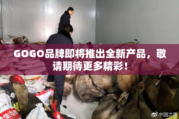 GOGO品牌即将推出全新产品，敬请期待更多精彩！
