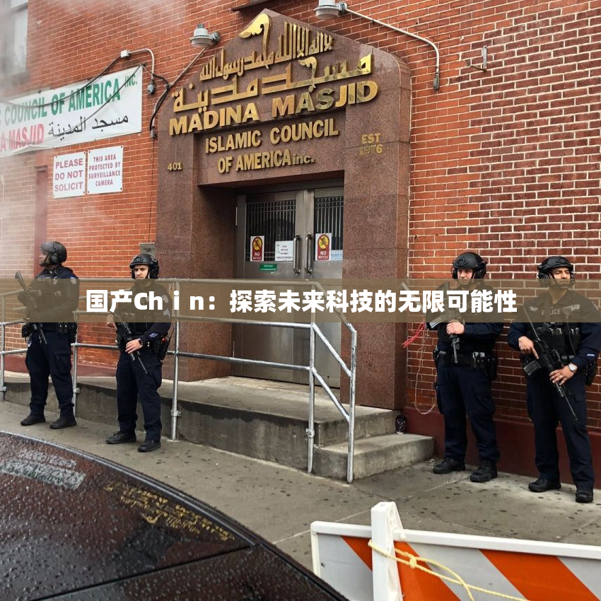 国产Chⅰn：探索未来科技的无限可能性