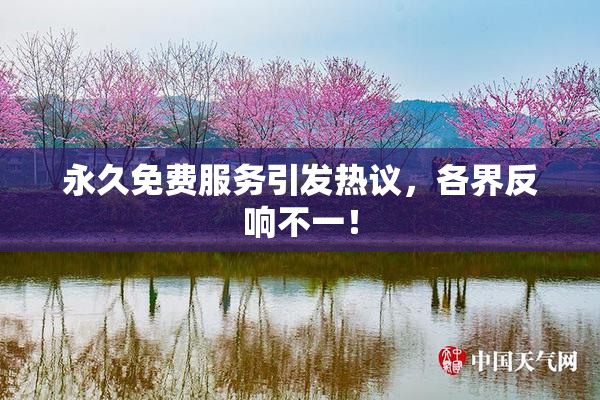 永久免费服务引发热议，各界反响不一！