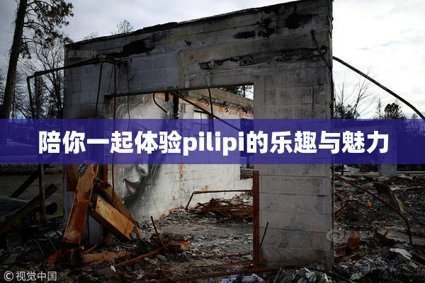 陪你一起体验pilipi的乐趣与魅力