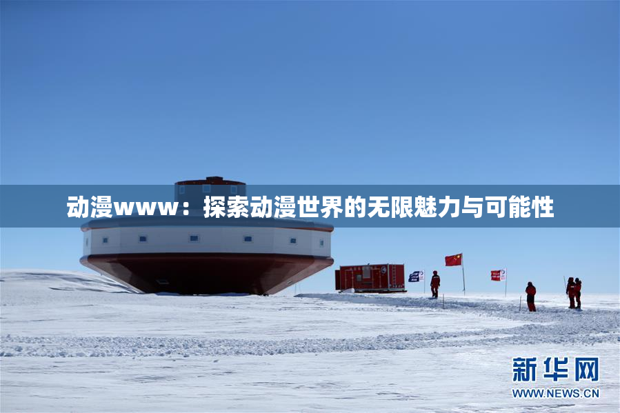 动漫www：探索动漫世界的无限魅力与可能性