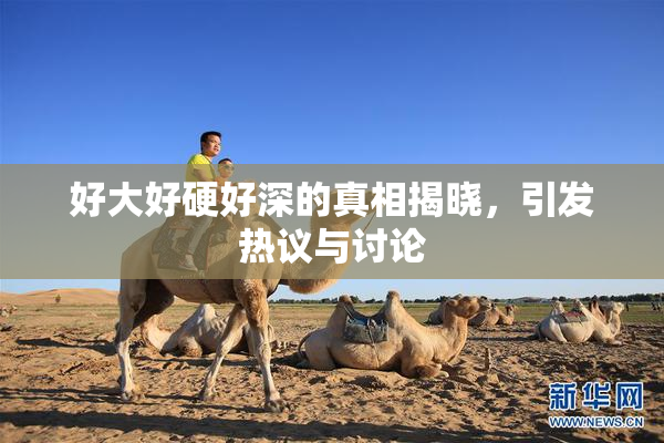 好大好硬好深的真相揭晓，引发热议与讨论