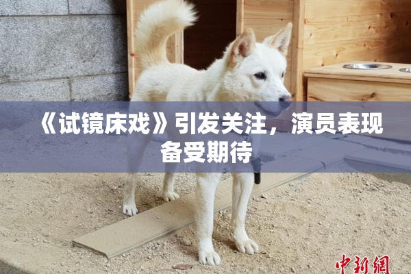 《试镜床戏》引发关注，演员表现备受期待