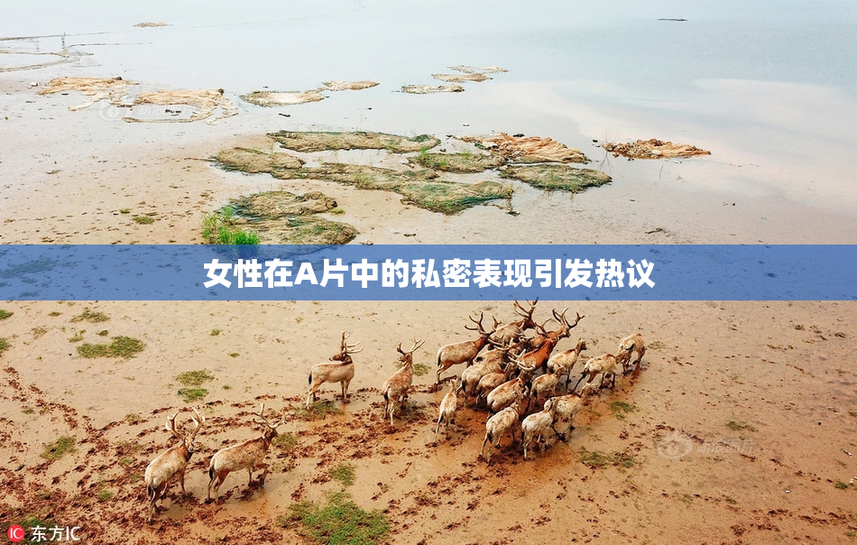 女性在A片中的私密表现引发热议