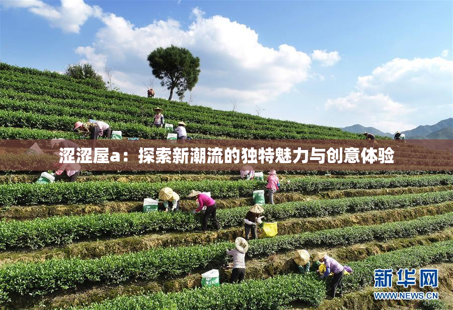 涩涩屋a：探索新潮流的独特魅力与创意体验