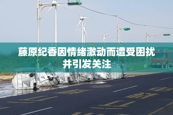 藤原纪香因情绪激动而遭受困扰并引发关注